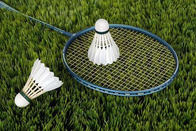 Peran Kesehatan dan Kebugaran dalam Badminton