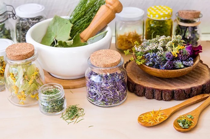 Tanaman Herbal yang Mudah Ditanam di Rumah