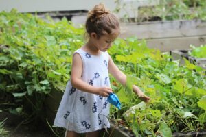 Merajut Harapan di Kebun Kecil Rumah